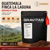 Guatemala Finca la Laguna GRAVITAS (под фильтр) кофе в зернах, упак. 250 г. 